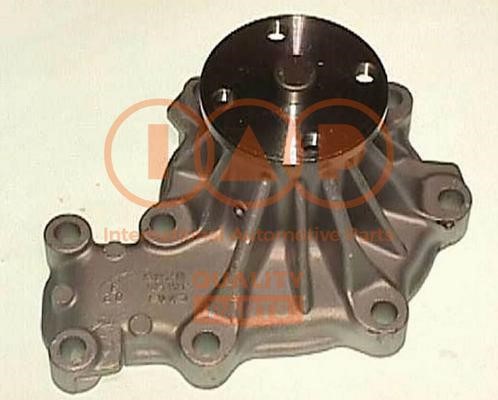 IAP 150-04030 Water pump 15004030: Buy near me in Poland at 2407.PL - Good price!