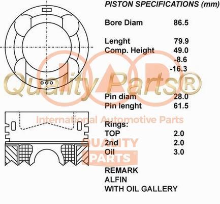 IAP 100-13103 Piston 10013103: Buy near me in Poland at 2407.PL - Good price!