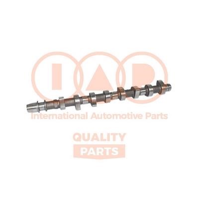 IAP 124-17052E Camshaft 12417052E: Buy near me in Poland at 2407.PL - Good price!