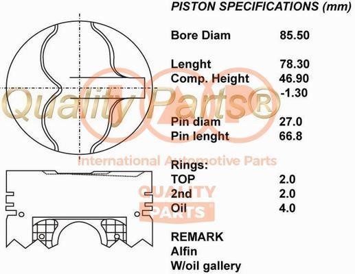 IAP 100-13031 Piston 10013031: Buy near me in Poland at 2407.PL - Good price!