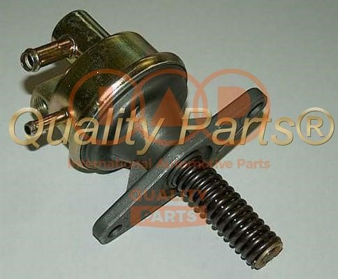 IAP 114-01022 Fuel pump 11401022: Buy near me in Poland at 2407.PL - Good price!