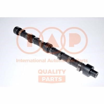 IAP 124-13040 Camshaft 12413040: Buy near me in Poland at 2407.PL - Good price!