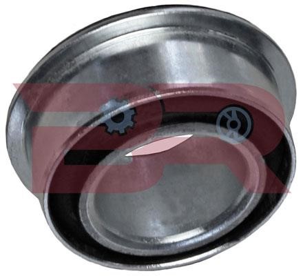 Botto Ricambi BRS0343 Control Arm-/Trailing Arm Bush BRS0343: Buy near me in Poland at 2407.PL - Good price!