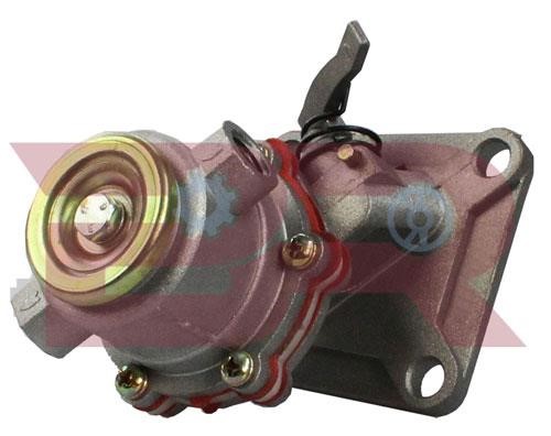 Botto Ricambi BRM0098 Fuel pump BRM0098: Buy near me in Poland at 2407.PL - Good price!