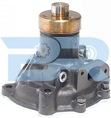 Botto Ricambi BRM9242 Water pump BRM9242: Buy near me in Poland at 2407.PL - Good price!