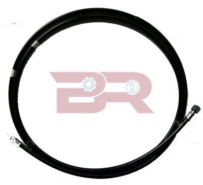 Botto Ricambi BRF6897 Clutch hose BRF6897: Buy near me in Poland at 2407.PL - Good price!