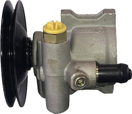 Estanfi Automocion BDD-49-004 Hydraulikpumpe, Lenkung BDD49004: Kaufen Sie zu einem guten Preis in Polen bei 2407.PL!