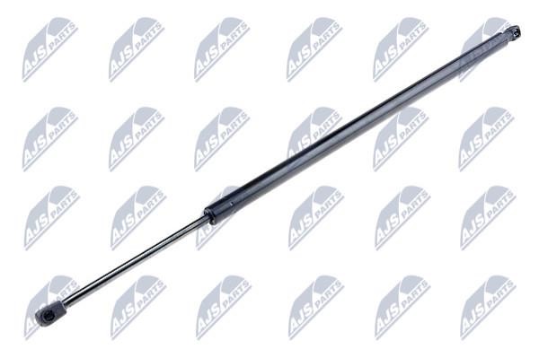 NTY AE-VW-028 Gas Spring, boot-/cargo area AEVW028: Buy near me in Poland at 2407.PL - Good price!