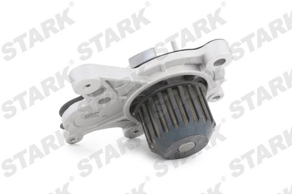 Stark SKWP-0520099 Water pump SKWP0520099: Buy near me at 2407.PL in Poland at an Affordable price!