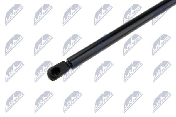 Gas spring NTY AE-BM-066