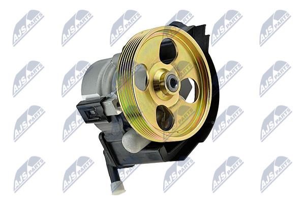 NTY SPW-CT-029 Hydraulic Pump, steering system SPWCT029: Buy near me in Poland at 2407.PL - Good price!
