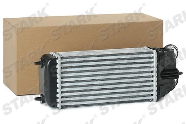 Stark SKICC-0890250 Intercooler, charger SKICC0890250: Buy near me in Poland at 2407.PL - Good price!