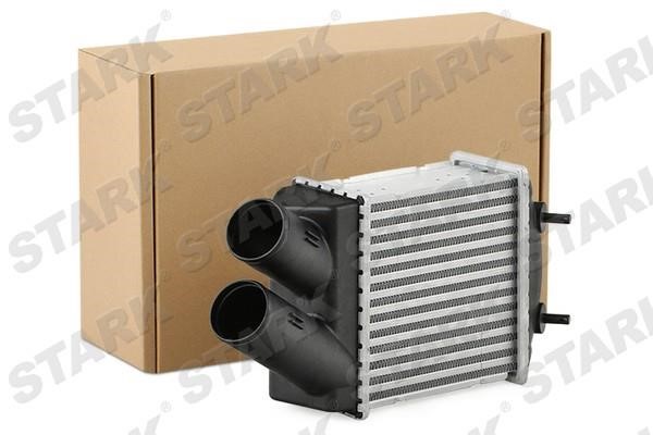 Stark SKICC-0890060 Intercooler, charger SKICC0890060: Buy near me in Poland at 2407.PL - Good price!