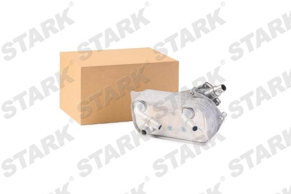 Stark SKOC-1760051 масляный радиатор, двигательное масло SKOC1760051: Отличная цена - Купить в Польше на 2407.PL!