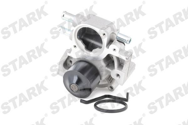 Stark SKWP-0520171 Water pump SKWP0520171: Buy near me in Poland at 2407.PL - Good price!