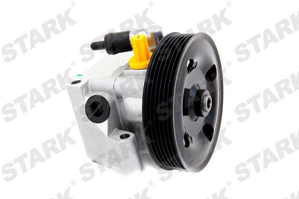 Stark SKHP-0540054 Hydraulic Pump, steering system SKHP0540054: Buy near me at 2407.PL in Poland at an Affordable price!