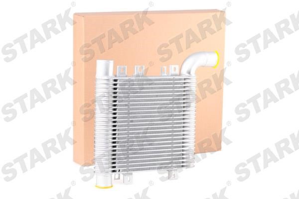 Stark SKICC-0890026 Intercooler, charger SKICC0890026: Buy near me in Poland at 2407.PL - Good price!