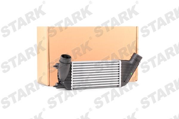 Stark SKICC-0890010 Intercooler, charger SKICC0890010: Buy near me in Poland at 2407.PL - Good price!