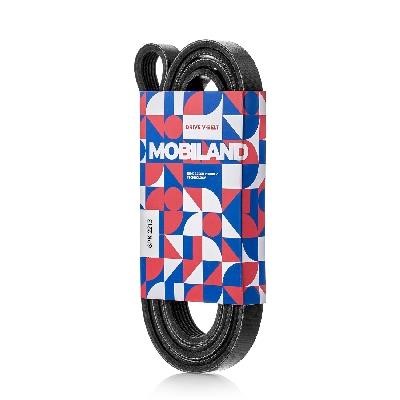 Mobiland 501262213 V-Ribbed Belt 501262213: Buy near me in Poland at 2407.PL - Good price!