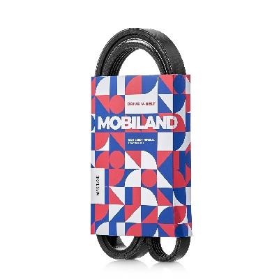 Mobiland 501251230 V-Ribbed Belt 501251230: Buy near me in Poland at 2407.PL - Good price!