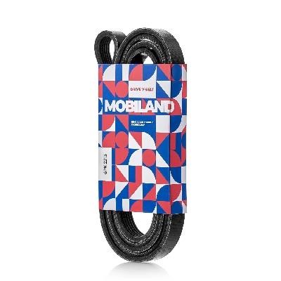 Mobiland 501262315 V-Ribbed Belt 501262315: Buy near me in Poland at 2407.PL - Good price!