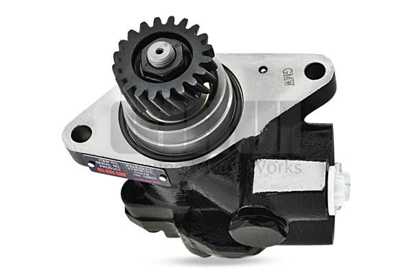 GMW PM44310 Hydraulic Pump, steering system PM44310: Buy near me in Poland at 2407.PL - Good price!