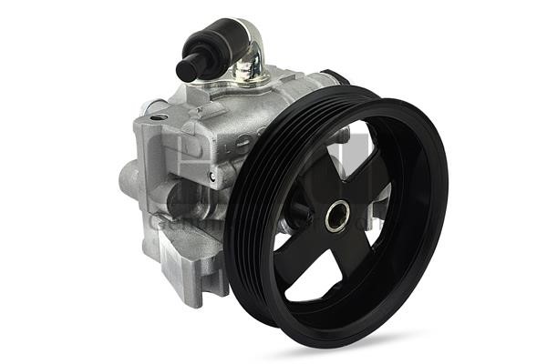 GMW PM27696 Hydraulic Pump, steering system PM27696: Buy near me in Poland at 2407.PL - Good price!
