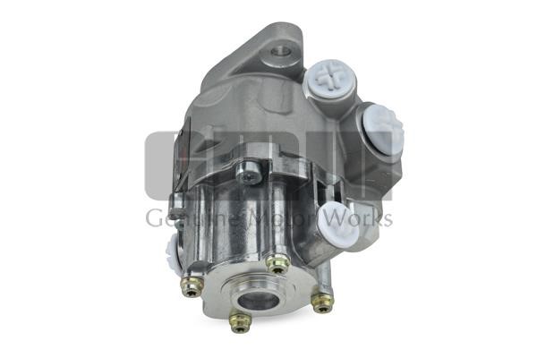 GMW PM04810 Hydraulic Pump, steering system PM04810: Buy near me in Poland at 2407.PL - Good price!