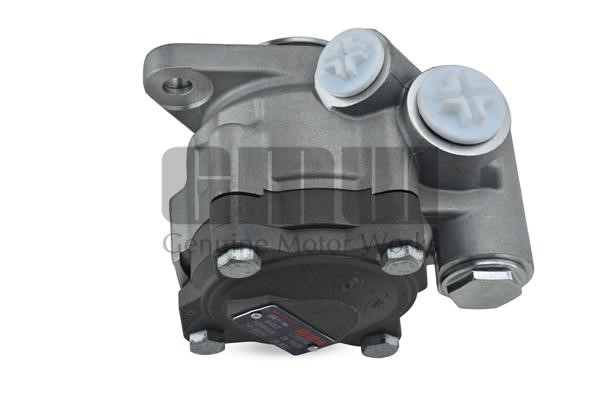 GMW PM55164 Hydraulic Pump, steering system PM55164: Buy near me in Poland at 2407.PL - Good price!