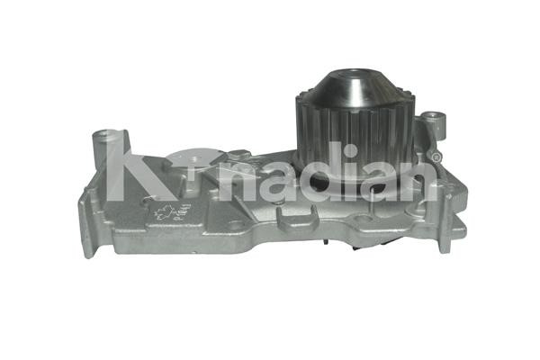 k'nadian P1641 Water pump P1641: Buy near me in Poland at 2407.PL - Good price!