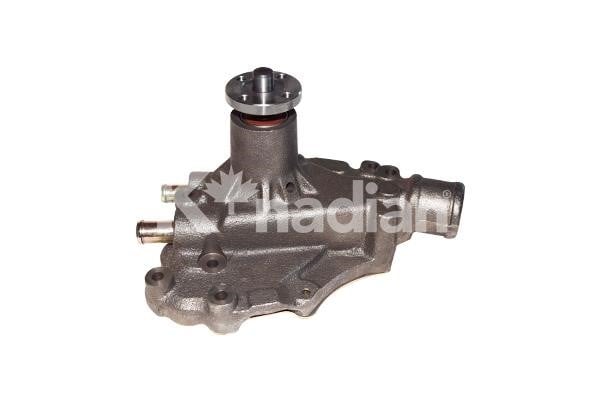 k'nadian P803 Water pump P803: Buy near me at 2407.PL in Poland at an Affordable price!