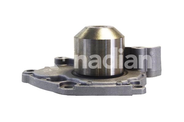 k'nadian P1650 Water pump P1650: Buy near me in Poland at 2407.PL - Good price!