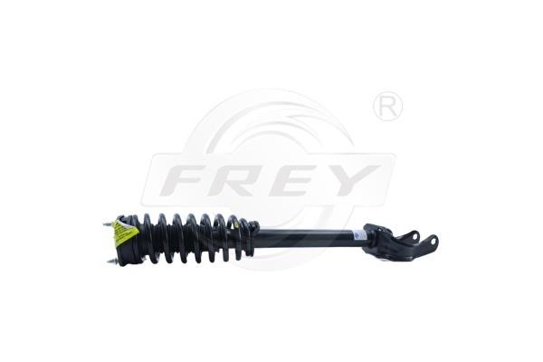 Frey 752192901 Front right gas oil shock absorber 752192901: Buy near me in Poland at 2407.PL - Good price!