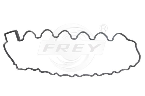 Frey 700411101 Прокладка клапанной крышки 700411101: Отличная цена - Купить в Польше на 2407.PL!