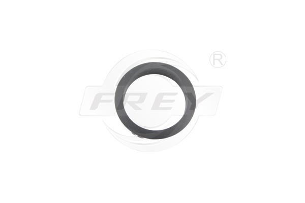 Frey 795511101 Gasket, timing case cover 795511101: Buy near me in Poland at 2407.PL - Good price!