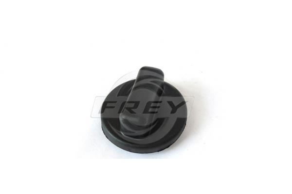 Frey 815700101 Fuel Door Assembly 815700101: Buy near me in Poland at 2407.PL - Good price!