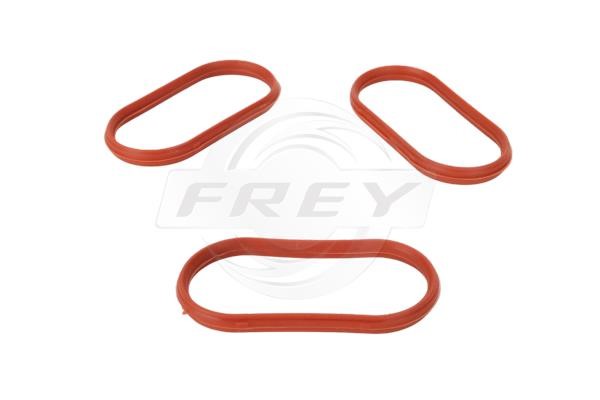 Frey 800601104 Прокладка впускного коллектора 800601104: Отличная цена - Купить в Польше на 2407.PL!