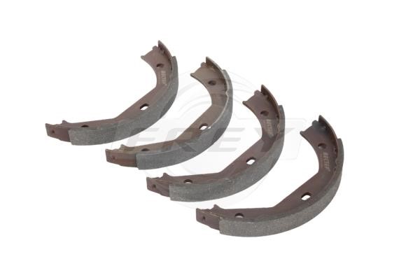 Frey 845600901 Parking brake shoes 845600901: Buy near me in Poland at 2407.PL - Good price!