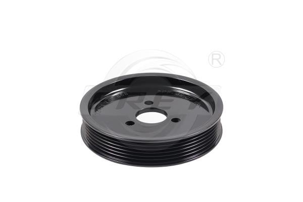 Frey 821005301 Power Steering Pulley 821005301: Buy near me in Poland at 2407.PL - Good price!
