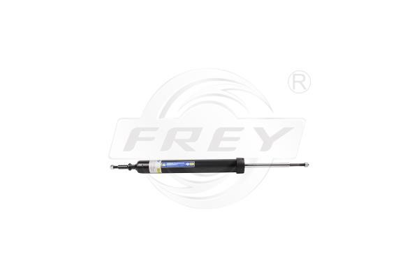 Frey 850419501 Амортизатор подвески задний 850419501: Отличная цена - Купить в Польше на 2407.PL!