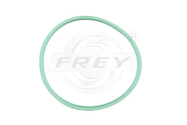 Frey 700531401 Uszczelka, filtr paliwa 700531401: Dobra cena w Polsce na 2407.PL - Kup Teraz!