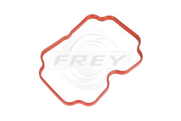 Frey 800603201 Gasket, intake manifold 800603201: Buy near me in Poland at 2407.PL - Good price!