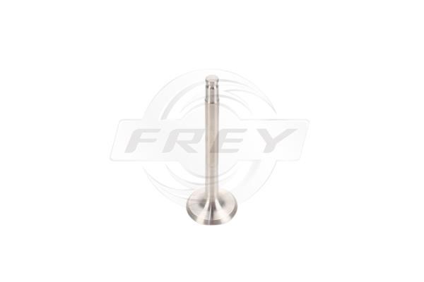 Frey 706801501 Клапан выпускной 706801501: Отличная цена - Купить в Польше на 2407.PL!