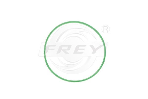 Frey 800500501 Прокладка термостата 800500501: Приваблива ціна - Купити у Польщі на 2407.PL!