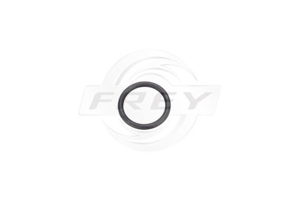 Frey 800513601 Прокладка, масляный радиатор 800513601: Отличная цена - Купить в Польше на 2407.PL!