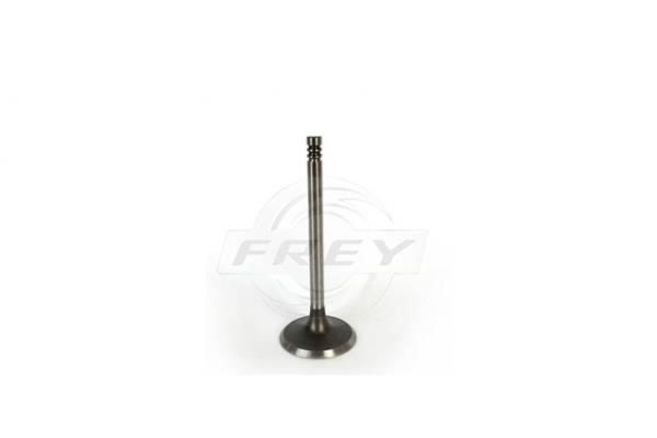 Frey 806700401 Intake valve 806700401: Buy near me in Poland at 2407.PL - Good price!