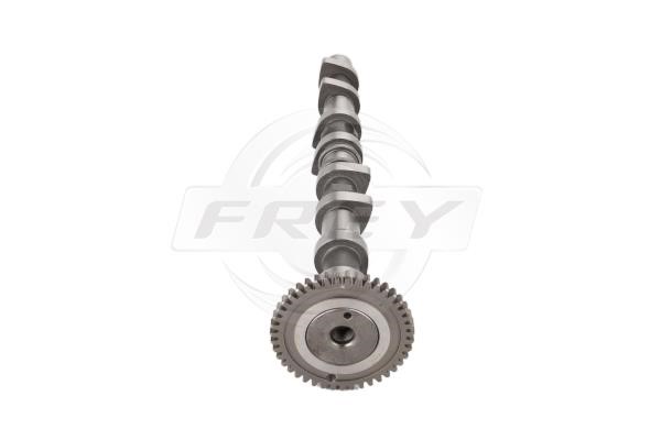 Frey 713200701 Camshaft 713200701: Buy near me at 2407.PL in Poland at an Affordable price!