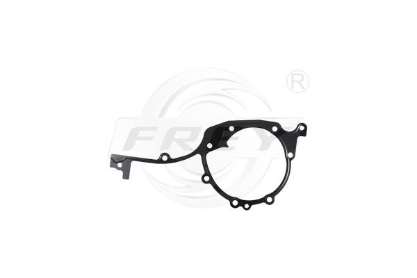 Frey 800400301 Gasket Set, timing case 800400301: Buy near me at 2407.PL in Poland at an Affordable price!