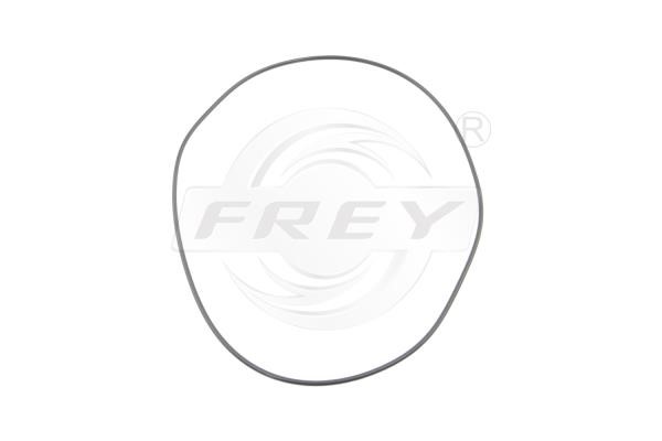Frey 800511501 Кольцо уплотнительное пробки маслосливной 800511501: Отличная цена - Купить в Польше на 2407.PL!