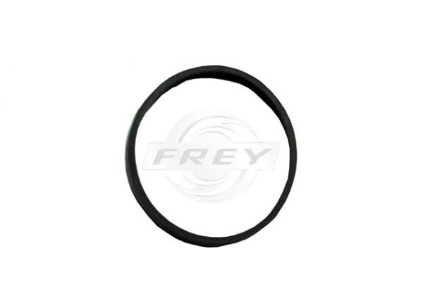 Frey 700601101 Прокладки впускного коллектора, комплект 700601101: Купить в Польше - Отличная цена на 2407.PL!